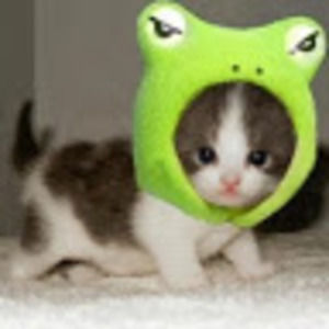 Meet your Posher, Eve